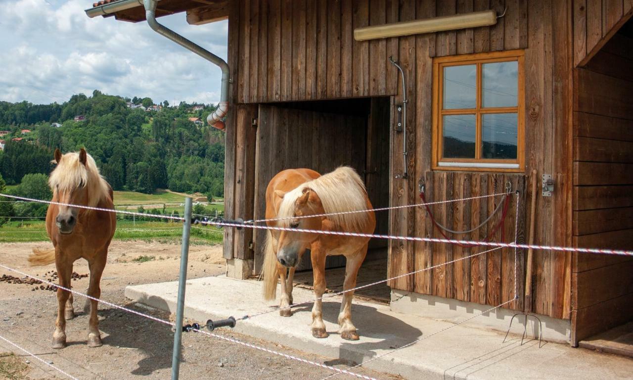Ferienwohnung Dichtl Grafenau  Buitenkant foto